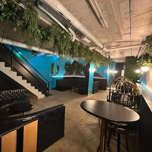 event: SOS “The Sounds of Spring” photo-1