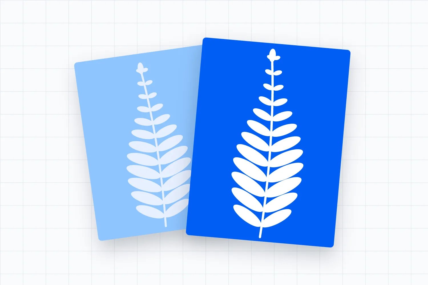 How to run a paid cyanotype workshop