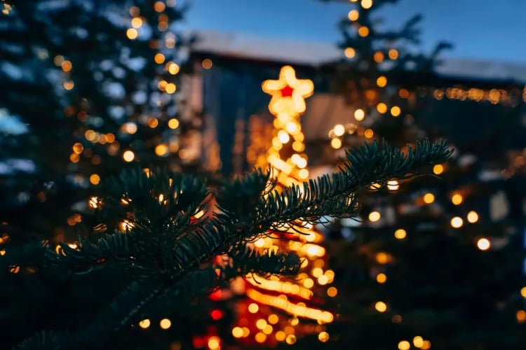 A giant Christmas tree is lit during a festive countdown